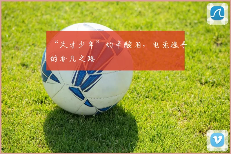 “天才少年”的辛酸泪，电竞选手的非凡之路