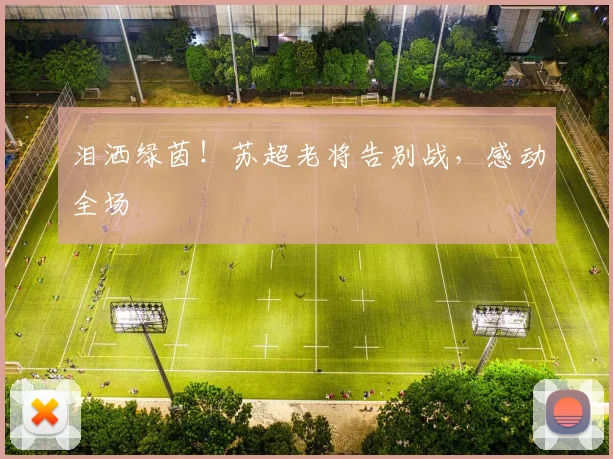 泪洒绿茵!苏超老将告别战,感动全场