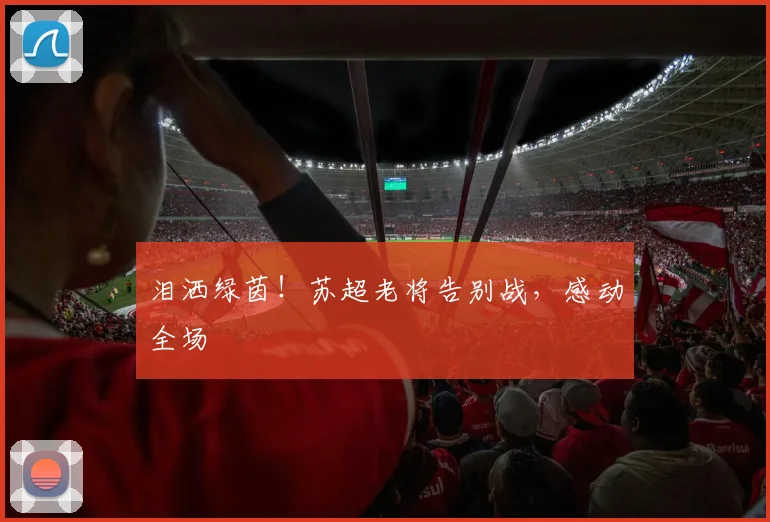泪洒绿茵！苏超老将告别战，感动全场